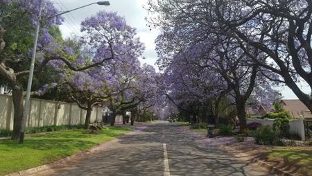 2 Bedroom Flat in Brooklyn