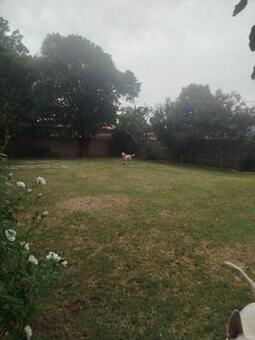 3 Bedroom House in Vanderbijlpark Central