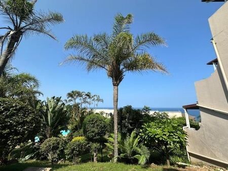 2 Bedroom Apartment in Umdloti Beach