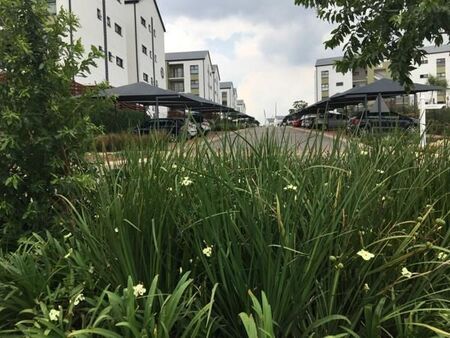 2 Bedroom Apartment in Witfield