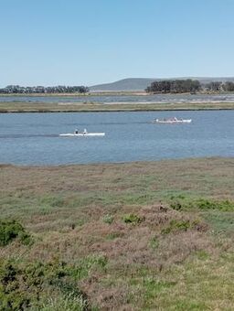 2 Bedroom Apartment in Port Owen