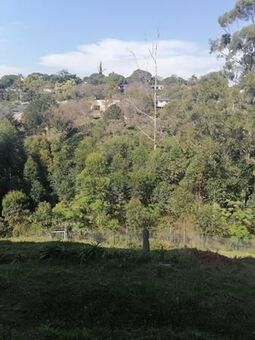 3 Bedroom Duplex in Westville