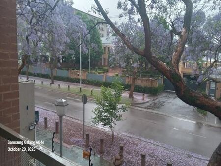 Bachelor apartment in Hatfield