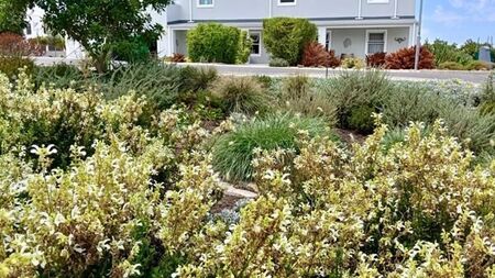 1 Bedroom Apartment in Westcliff