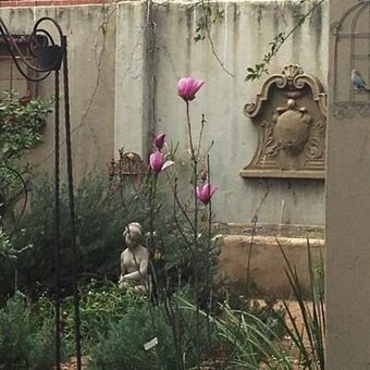 1.5 Bedroom Apartment in Rietondale