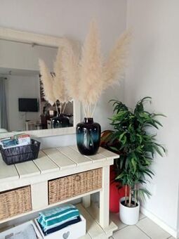 2 Bedroom Apartment in Knysna Central