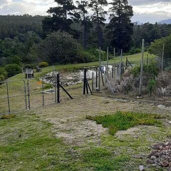 1 Bedroom Apartment in Victoria Heights