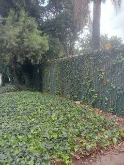 1 Bedroom Apartment in Westdene