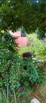 Studio apartment in Auckland Park