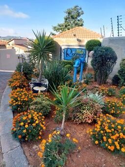 3 Bedroom Cluster in Ridgeway