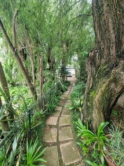 3 Bedroom House in Bedfordview