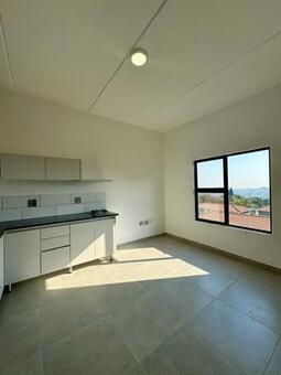 1 Bedroom Apartment in Ferndale