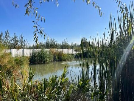 1 Bedroom Apartment in Witfield