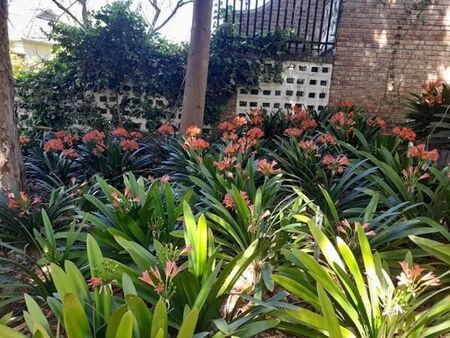 3 Bedroom House in Oudtshoorn