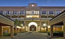 Bachelor apartment in Morningside