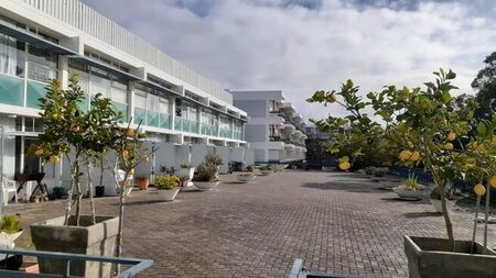 1 Bedroom apartment to rent in Boston, Bellville