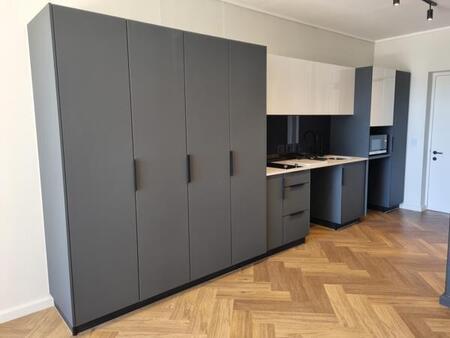 Studio Apartment in Century City