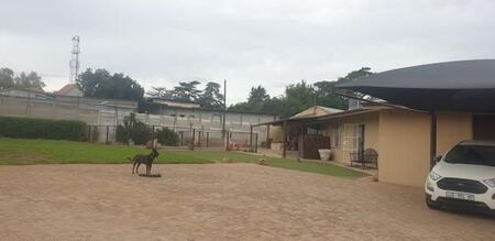 5 Bedroom House in Heidelberg Central