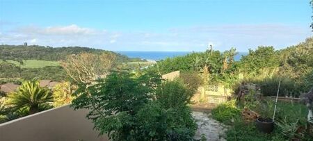 1 Bedroom Apartment in Palm Beach