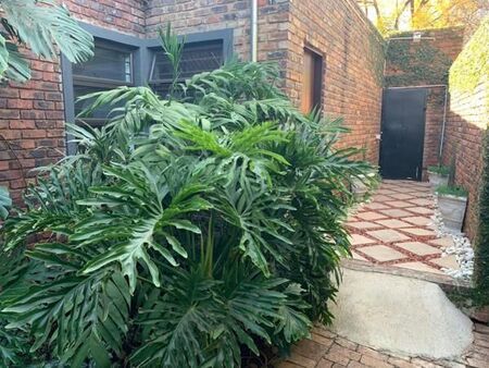 1 Bedroom Apartment in Waverley