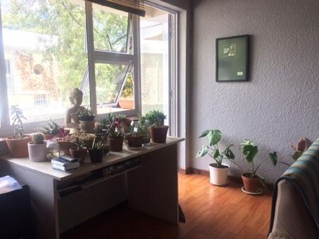 1 Bedroom apartment to rent in Rondebosch, Cape Town