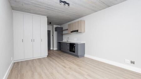 Studio Apartment in Pinelands