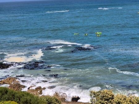 1 Bedroom Apartment in Hout Bay Central