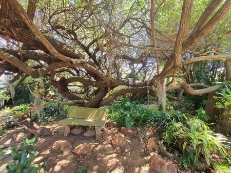 3 Bedroom House in Swellendam
