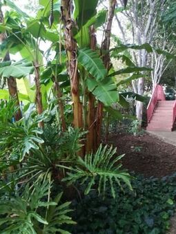 1 Bedroom Apartment in Rietfontein