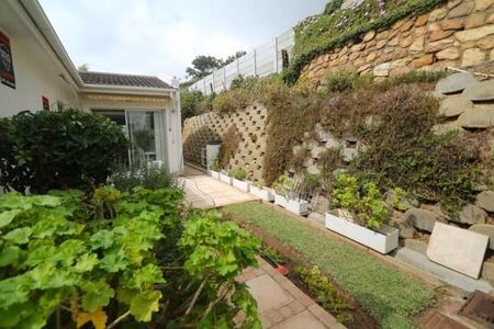 1 Bedroom Apartment in Green Point