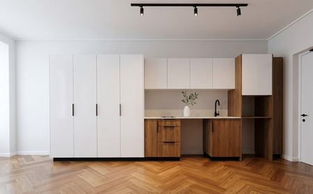 Studio apartment in Century City