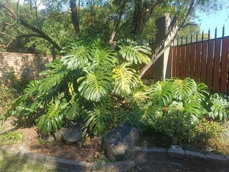 4 Bedroom house to rent in Sonheuwel, Nelspruit