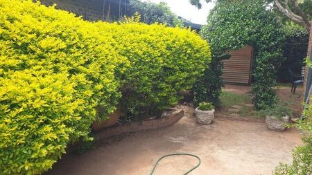 1 Bedroom cottage to rent in Garsfontein, Pretoria