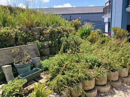 2 Bedroom Apartment in Knysna Central