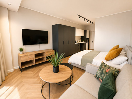 Studio Apartment in Century City