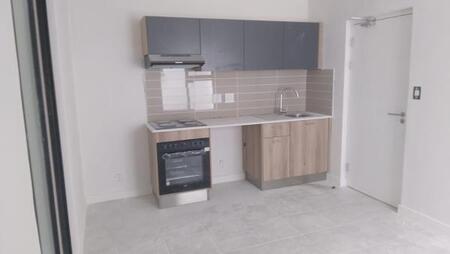 1 Bedroom Apartment in Mountainside