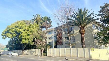 3 Bedroom duplex apartment to rent in Kenilworth, Cape Town