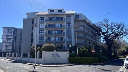 1 Bedroom apartment to rent in Rondebosch, Cape Town