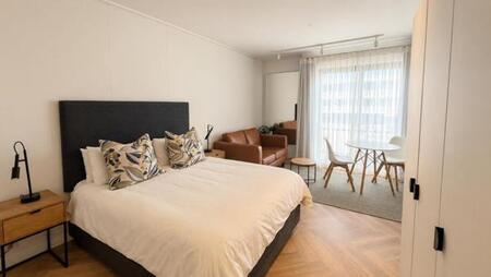 Studio Apartment in Century City