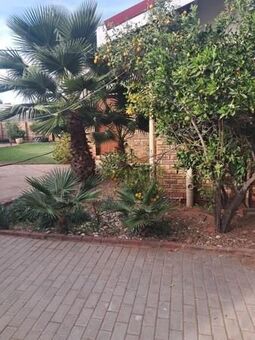 3 Bedroom House in West Bank