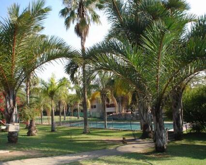 2 Bedroom Apartment in West Acres