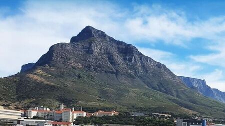 1 Bedroom apartment to rent in Observatory, Cape Town