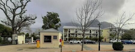1 Bedroom bachelor to rent in Rondebosch, Cape Town